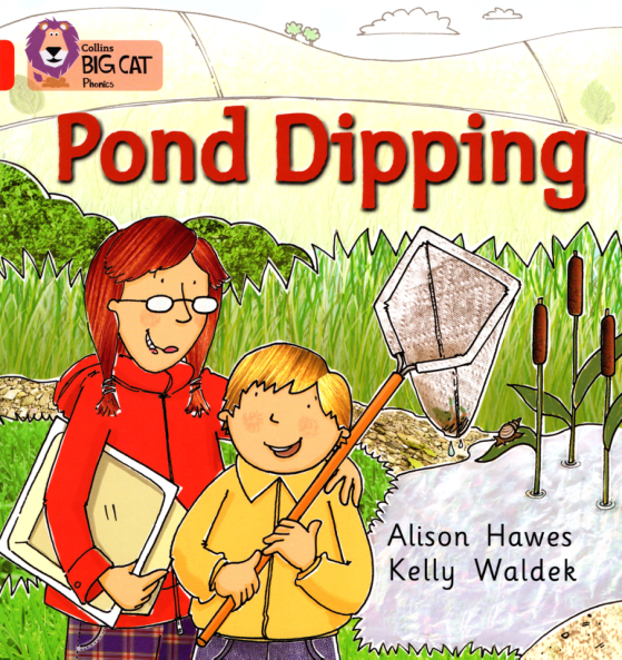 pond dipping